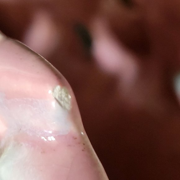 Vintage Royal Haeger Vase / Planter Fan Basket, Pink and Blue Royal Haeger - Picture 10 of 10